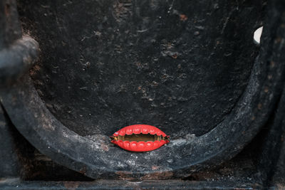 Close up of red shell on metal