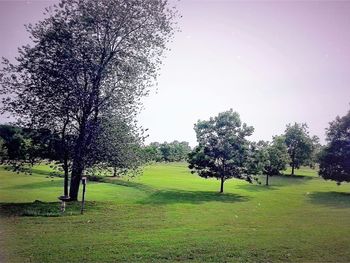 Scenic view of grassy field against sky