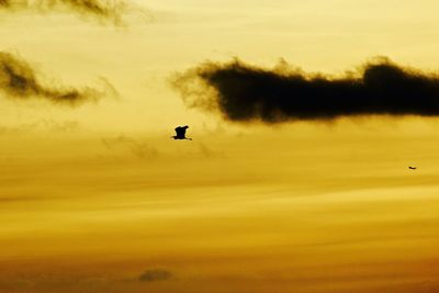 Silhouette bird flying against orange sky