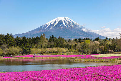 Scenic view of snowcapped mountains against clear sky