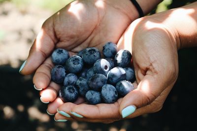 Cropped hands of woman holding berries