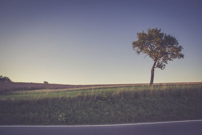 Tree on field against clear sky