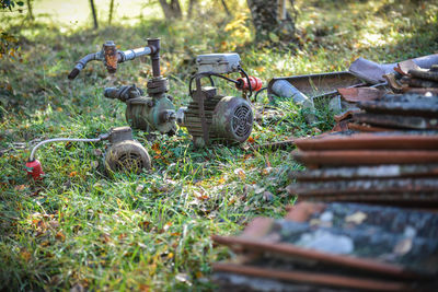 Plants growing on field