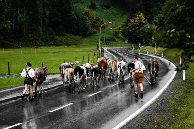 Group of people walking on wet road