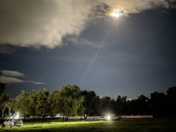 Scenic view of illuminated trees against sky