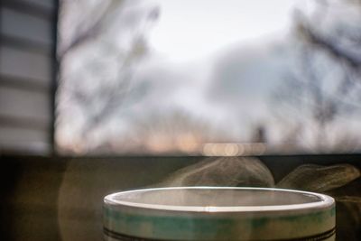 Close-up of tea in cup