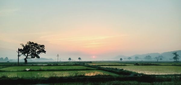 Scenic view of field against sky during sunset