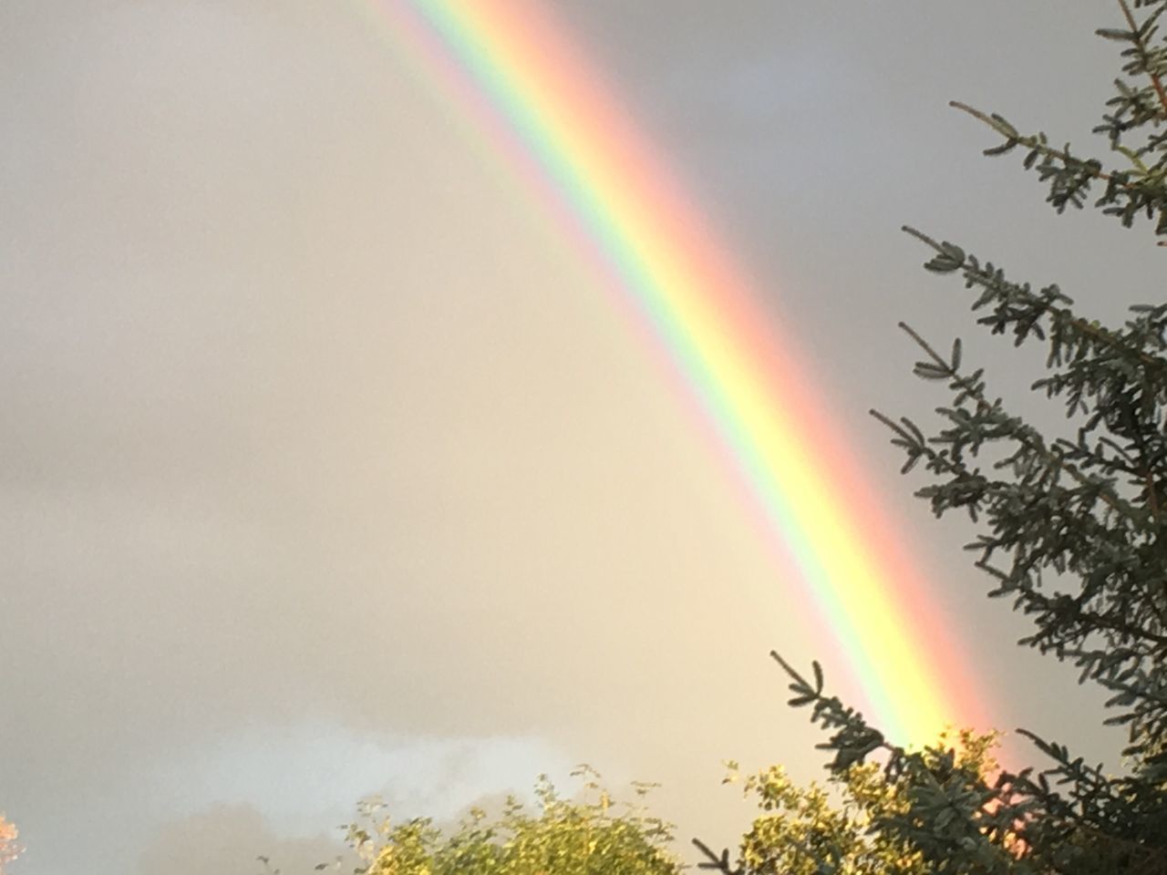 SCENIC VIEW OF RAINBOW AGAINST SKY