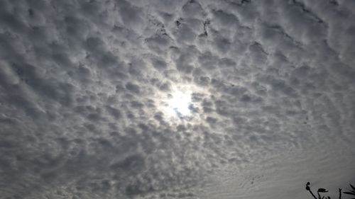 Low angle view of sky