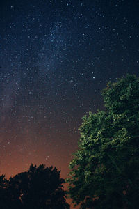 Low angle view of silhouette trees against sky at night
