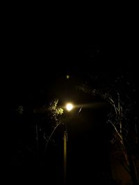 Low angle view of illuminated trees against sky at night