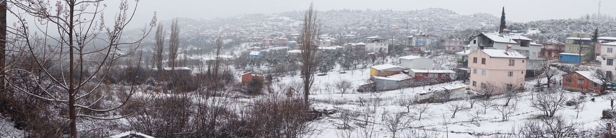 Bare trees with buildings in background