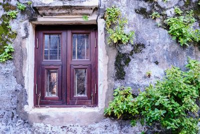 Closed door of old building