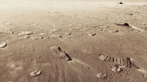 High angle view of footprints on sand