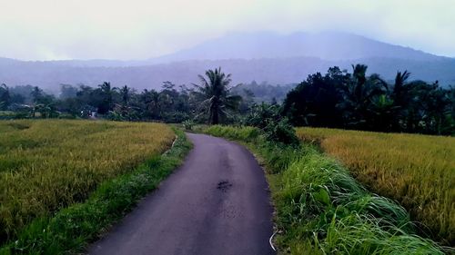 Road amidst field against sky