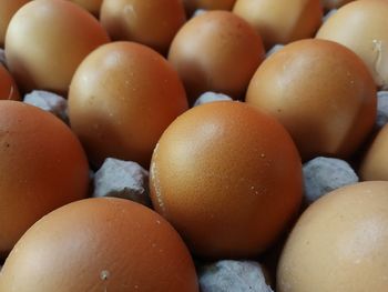 Freshly harvested chicken eggs need to be cleaned and then ready to sell
