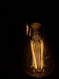 Illuminated light bulb in darkroom