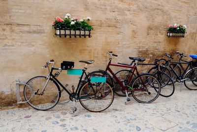 Bicycles on bicycle parked against wall