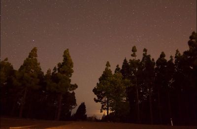 Silhouette trees against sky at night