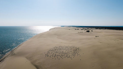 Scenic view of beach against clear sky