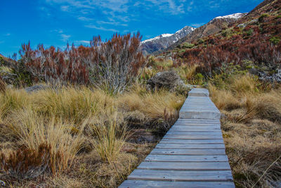 Boardwalk amidst plants on land against sky