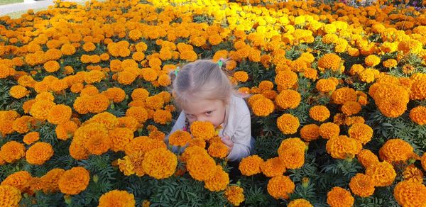 Low angle view of girl on yellow flowering plants