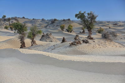 Scenic view of desert against sky