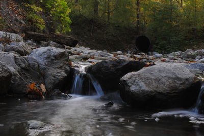 Scenic view of waterfall in forest