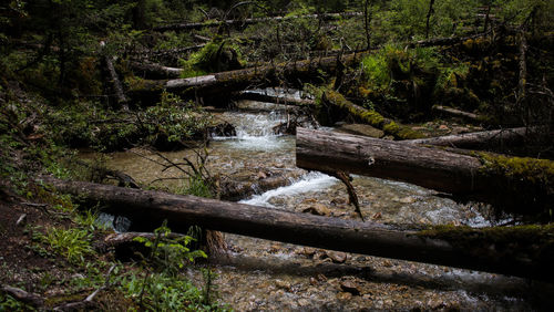 Scenic view of waterfall in forest