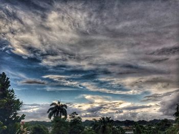 Low angle view of palm trees against dramatic sky