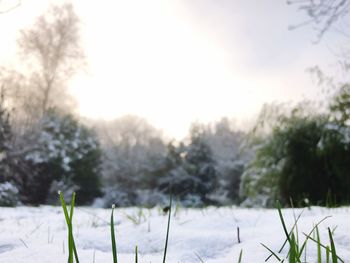 Close-up of snow on field against sky