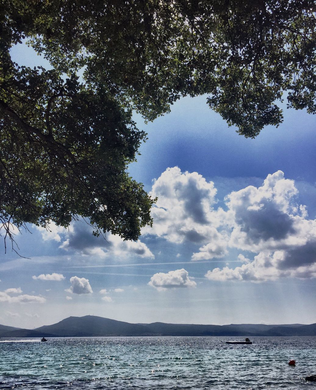 tree, sky, water, nature, scenics, sea, day, tranquility, beauty in nature, outdoors, tranquil scene, cloud - sky, no people, branch, mountain, travel destinations, nautical vessel