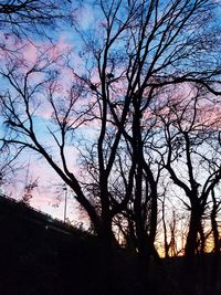 Silhouette bare trees in forest against sky