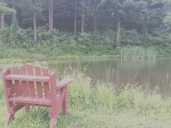 Trees growing in pond