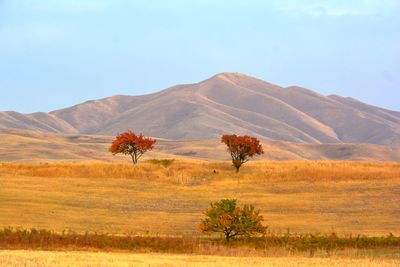 Scenic view of landscape against clear sky