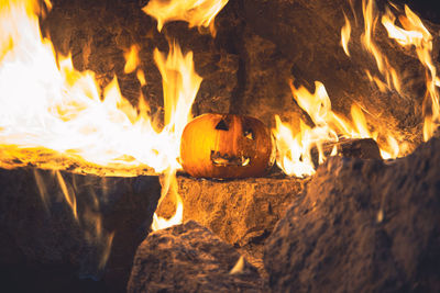 Close-up of bonfire at night