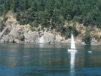 Scenic view of sea against trees