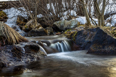 Scenic view of waterfall in forest