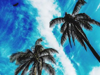 Low angle view of palm trees against cloudy sky