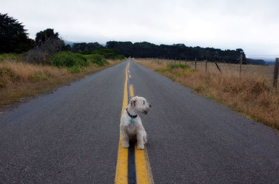 Country road along landscape