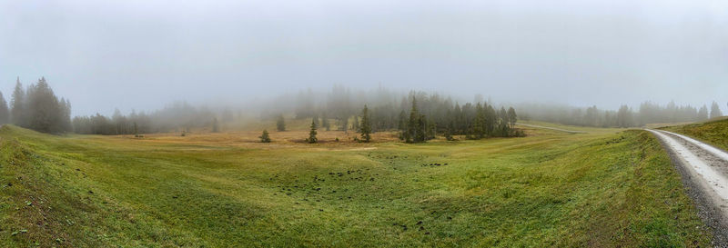 Scenic view of landscape against sky during foggy weather