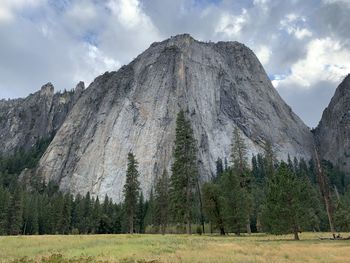 Panoramic view of trees on field against sky