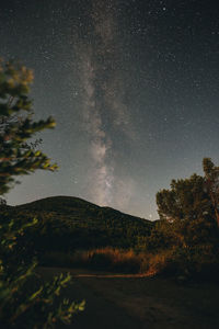 Scenic view of star field against sky at night