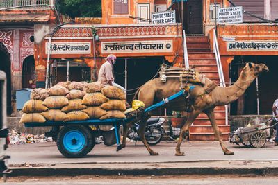 Bicycles for sale at street market