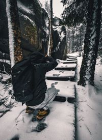 Man with umbrella on tree