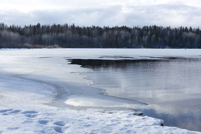 Melting of ice on the lake in early spring. trees, sky and clouds are reflected in the water.
