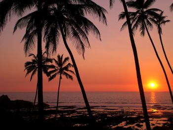 Silhouette palm trees on beach against sky during sunset