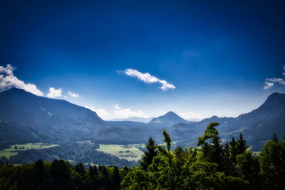 Scenic view of trees and mountains against blue sky