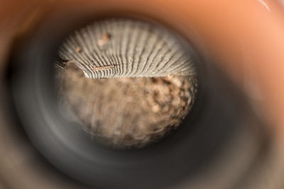 Close-up view of coins