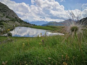 Scenic view of field against sky